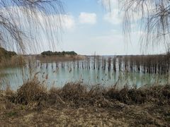 -南湖湿地公园