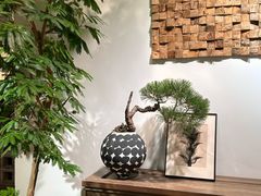 -自由生长植物工作室(深港花卉中心店)