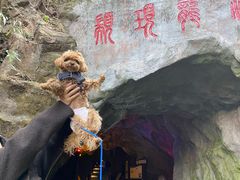 -颛顼龙洞旅游景区