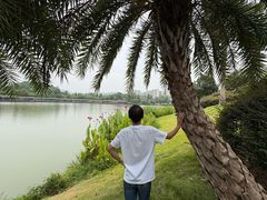 -枫香湖儿童公园