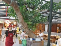 -海岛八号龙虾烧烤田鸡(蓝天路总店)