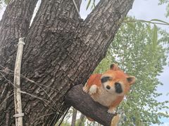 -北戴河集发农业梦想王国