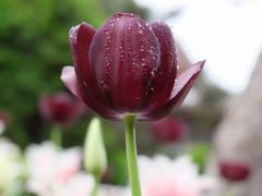 -国家植物园