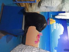 泉城海洋极地世界-泉城欧乐堡海洋极地世界