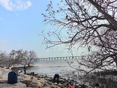 -宝安西湾红树林湿地公园