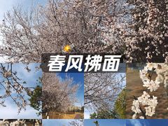 -两河城市森林公园