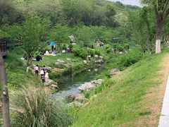 -羊山湖公园