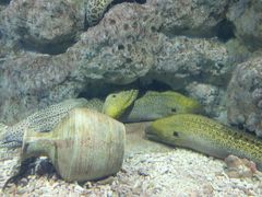 -福州罗源湾海洋世界旅游区