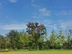 -蜀水别园(青杠树店)
