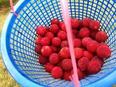 -呼吸森林·生态农庄农家乐私房菜