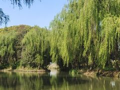 -同里国家湿地公园