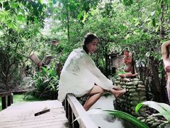 -呀路古热带植物园