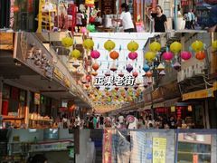 -广州白江湖森林公园