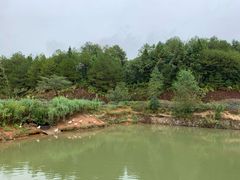 -桃源咖啡厅(武夷山大红袍山庄店)