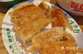 Braised Pork and Napa Cabbage Pan-Fried Dumplings