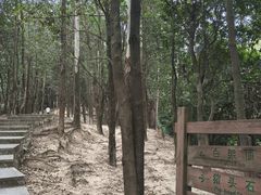 -火炉山森林公园
