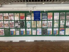 -香港大学