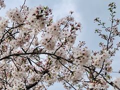 -龙美术馆(西岸馆)