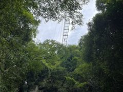 -藏龙百瀑风景区