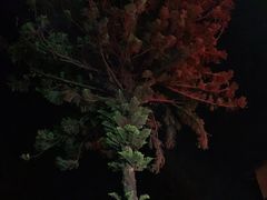 -金山锅贴店(金泉路店)