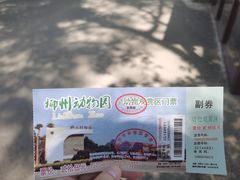 -柳州市动物园