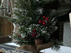 -一棵树·意大利西餐厅One Tree(新城店)