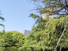 -新虹桥中心花园