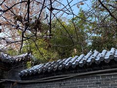 -和颐至尚酒店(济南趵突泉店)