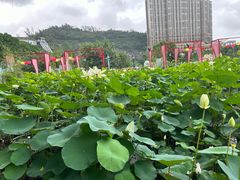 -龙环葡韵住宅式博物馆