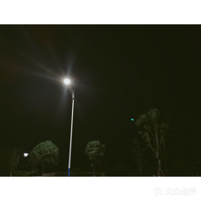 茶屿水果茶(五彩广场店)图片