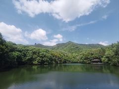 -杭州半山国家森林公园