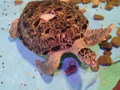 -波塞冬旅游度假区