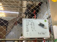 -岳各庄批发市场(西四环中路店)
