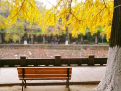 -四川大学(华西校区)