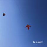 大鱼海棠 | 我们的大鱼海棠是这条天河最美的崽