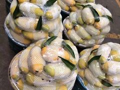 -三亚新鸿港水果一级批发市场