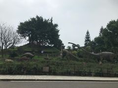-自贡恐龙博物馆