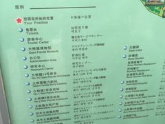 景点-成都大熊猫繁育研究基地