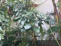-少林功夫文化中心·独门独院