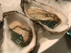 -Oyster Talks 四度蚝法餐厅