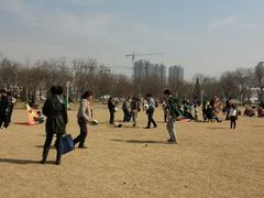 android_upload_pic-泰丰公园