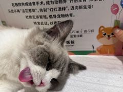 -守诺宠物医院·眼科· 特色牙科·异宠专科(虹口店)