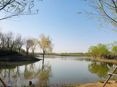 -东郊湿地公园