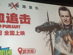 -万达影城(汉街万达广场IMAX店)