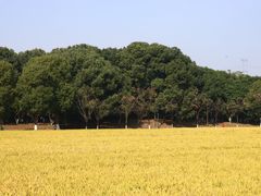 -乌村