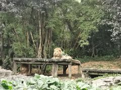 -广州长隆野生动物世界