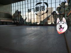 -冠军冰场CHAMPION RINK(凯德广场店)