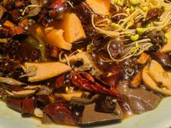 -陈麻婆豆腐总店
