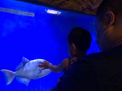 -华夏文旅海洋公园