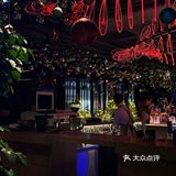 西湖边!室内圣诞树森林🌲好拍还不冷!!